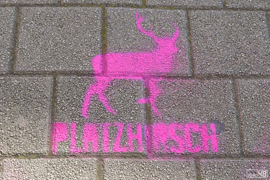 platzhirsch_20160903_163031_d75_3768