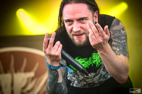Ingested, Summer Breeze Open Air 2019