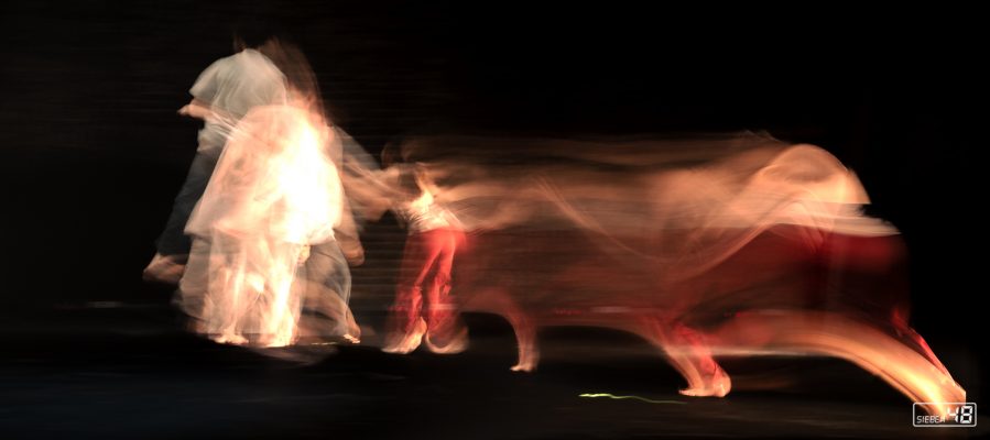 Flying Elephant – „Happy Hunting“, somebody@maschinenhaus25, Essen, Germany